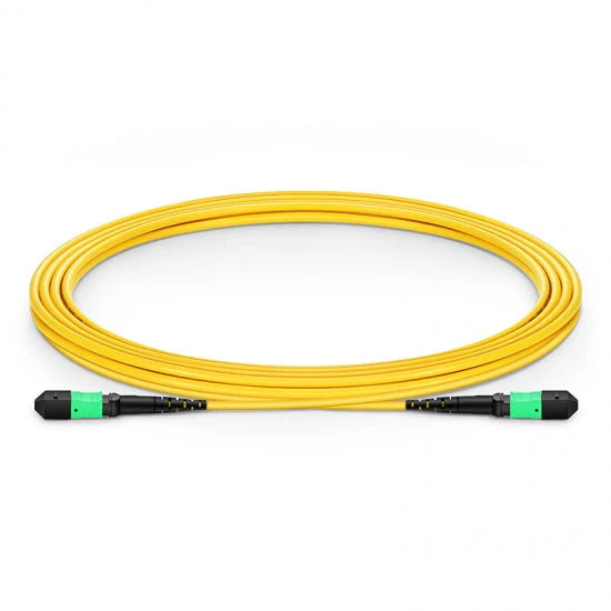 Ultra Low Loss MPO trunk

ULL TeraSPEED MPO kabel

MPO12 fiber optic trunk

Pre-terminated MPO kabel

MPO to MPO trunk

12-fiber MPO kabel

LSZH MPO trunk

Method B MPO trunk

Fiber optic pre-terminated kabel

MPO unpinned connector kabel

leverbaar in 3m, 5m, 7m, 10m, 15m, 20m, 25m

GEEL